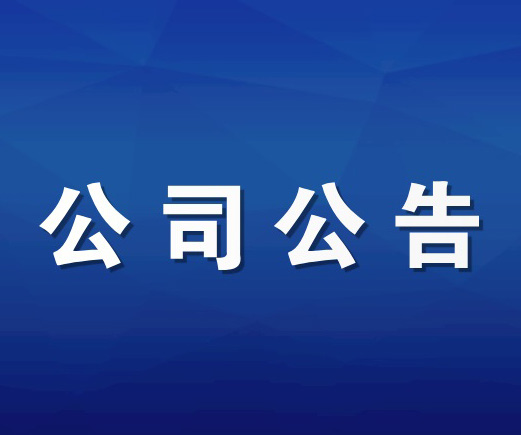 2024年第四季度可转换公司债券转股情况的公告